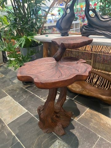 Kệ Decor Gỗ Tràm Reborn Wood 13HX5 D91