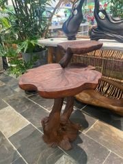  Kệ Decor Gỗ Tràm Reborn Wood 13HX5 D91 