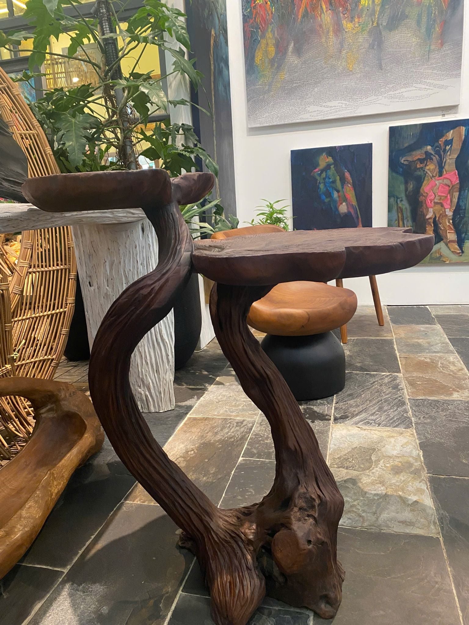  Kệ Decor Gỗ Tràm Reborn Wood 13HX5 D91 