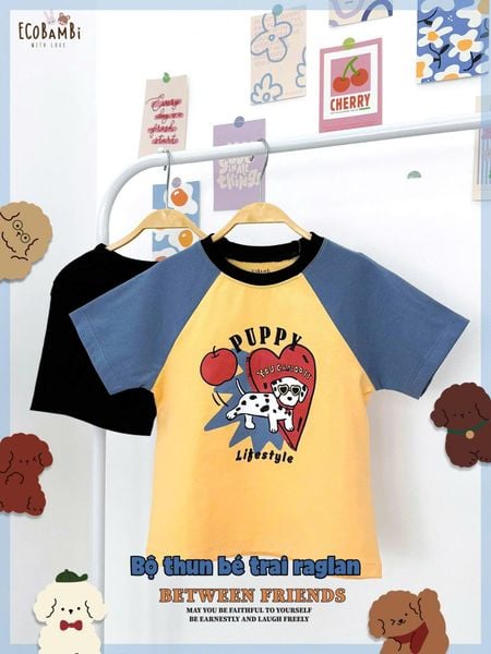 Bộ thun raglan tay ngắn phối màu bé trai ECOBAMBI - BB-23BOBT032 - 8935334001404 - Restock 