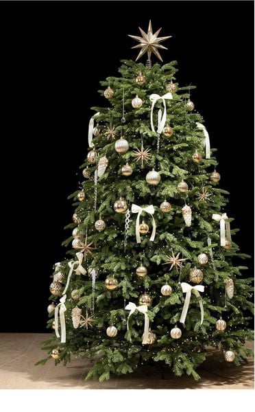  [ORDER] Set Cây Thông Noel Champagne Gold 