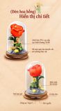  [ORDER] Đèn Hoa Hồng Hoàng Tử Bé Love Letter 