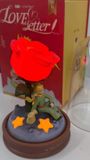  [ORDER] Đèn Hoa Hồng Hoàng Tử Bé Love Letter 