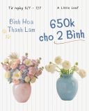  Bình Hoa Thanh Lam 