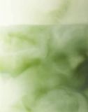  [ORDER] Jeju Matcha Milk Tea 