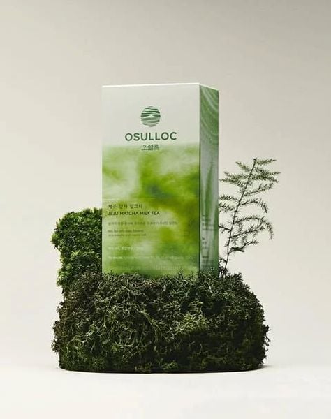  [ORDER] Jeju Matcha Milk Tea 