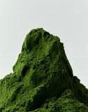  [ORDER] Premium Matcha OSULLOC 