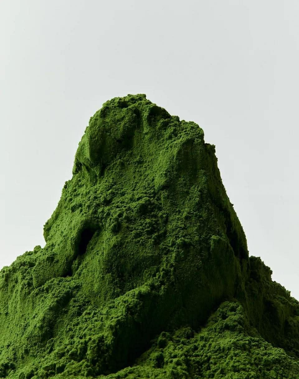  [ORDER] Premium Matcha OSULLOC 
