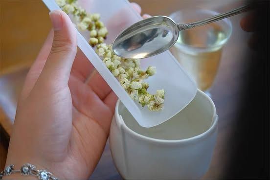  Trà Lục Ngạc Mai 