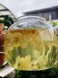  [ORDER] Hoa Kim Quế Cổ Thụ Quế Lâm (Hoa Quế Sấy Lạnh Không Lưu Huỳnh) 
