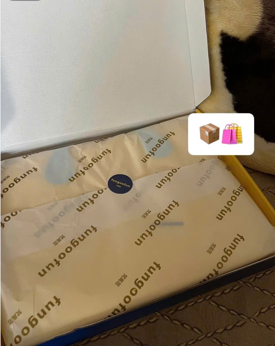  [ORDER] Túi Laptop Fungoofun EVA 