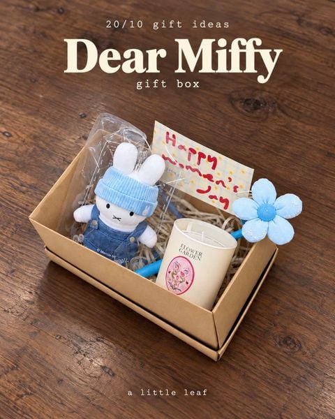  [Gift box] Dear Miffy 