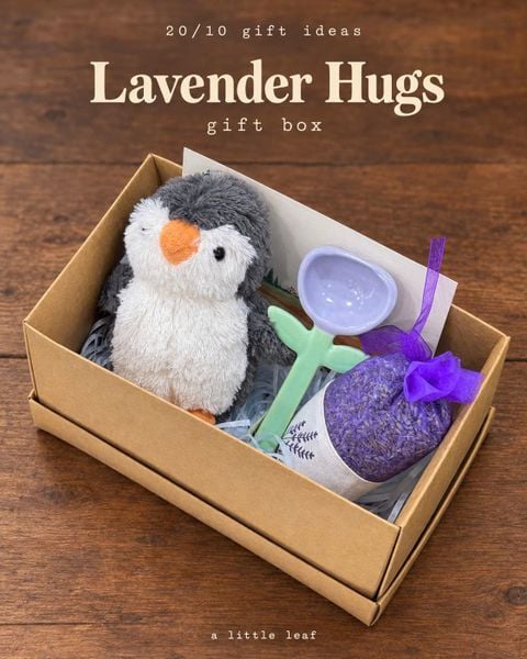  [Gift box] Lavender Hugs 
