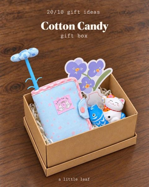  [Gift box] Cotton Candy 