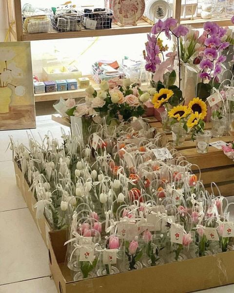  Cốc Hoa Tulip (Kèm Thiệp) 