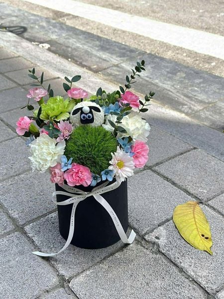  [Only Hanoi] Box Hoa Little Friends Garden 