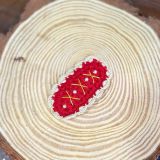  Kẹp Tóc Đan Len Merry 