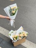  Bó Hoa Đồng Tiền Baby – Nhỏ Nhắn Mà Ý Nghĩa 