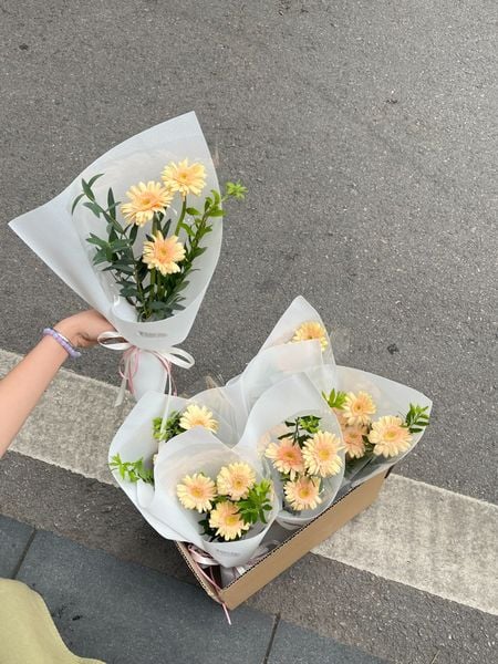  Bó Hoa Đồng Tiền Baby – Nhỏ Nhắn Mà Ý Nghĩa 