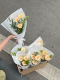  Bó Hoa Đồng Tiền Baby – Nhỏ Nhắn Mà Ý Nghĩa 