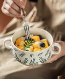  Bát 2 Tai Evergreen 