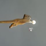  Trâm Cài Tóc Mèo Gỗ Ôm Ngọc 