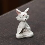  Bạch Cáo Thiền Trà 