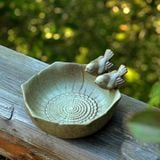  Chậu Thủy Sinh Đôi Chim Nhỏ 