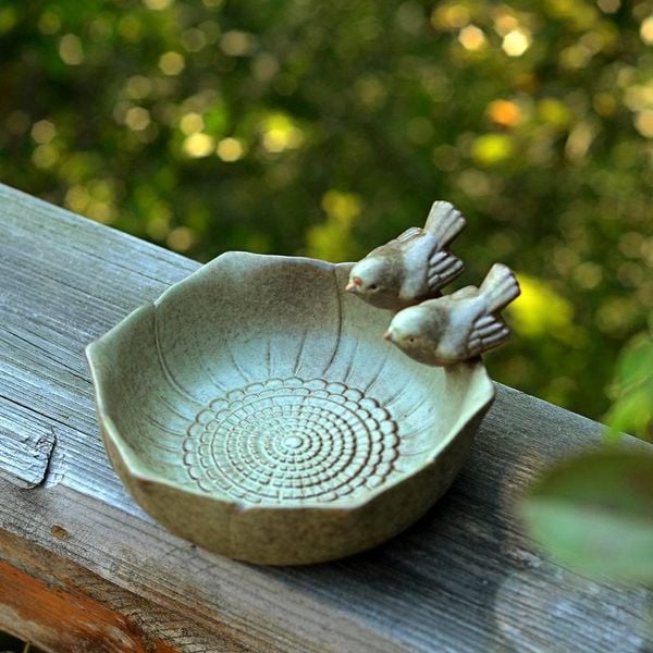  Chậu Thủy Sinh Đôi Chim Nhỏ 