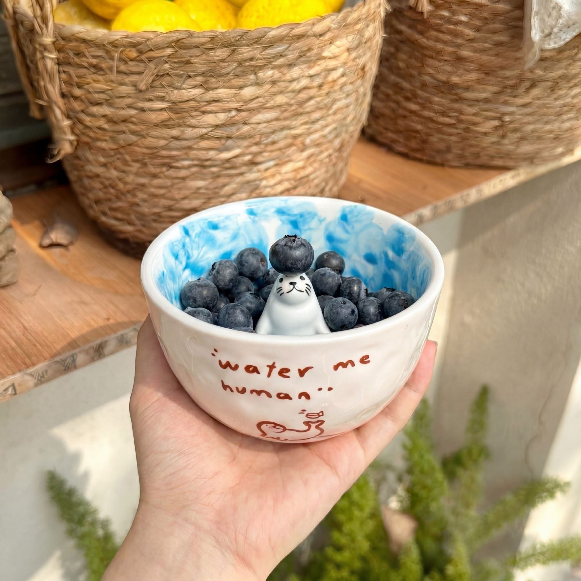  Bát Hải Cẩu Blue Lagoon 