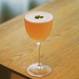 Ly Cocktail Nicolola 