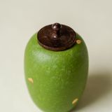  Hũ Đựng Trà Lục Diệp Điểm Kim 