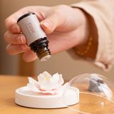  Set 4 Lọ Tinh Dầu Essence Of Things 