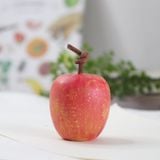  Quả Táo, Quả Lê Gỗ Decor 