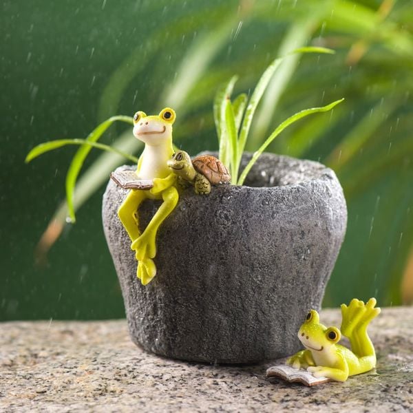  Tượng Ếch Trong Vườn 