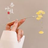  Trâm Cài Tóc Ngọc Điệp 