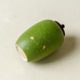  Hũ Đựng Trà Lục Diệp Điểm Kim 