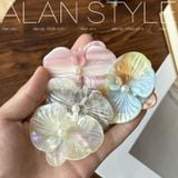  Kẹp Tóc Bướm Hoa Lan Hồ Điệp 