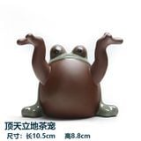  Giá Đỡ Chú Ếch Dễ thương 