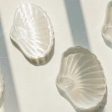  Để Trang Sức Vỏ Sò Basic 