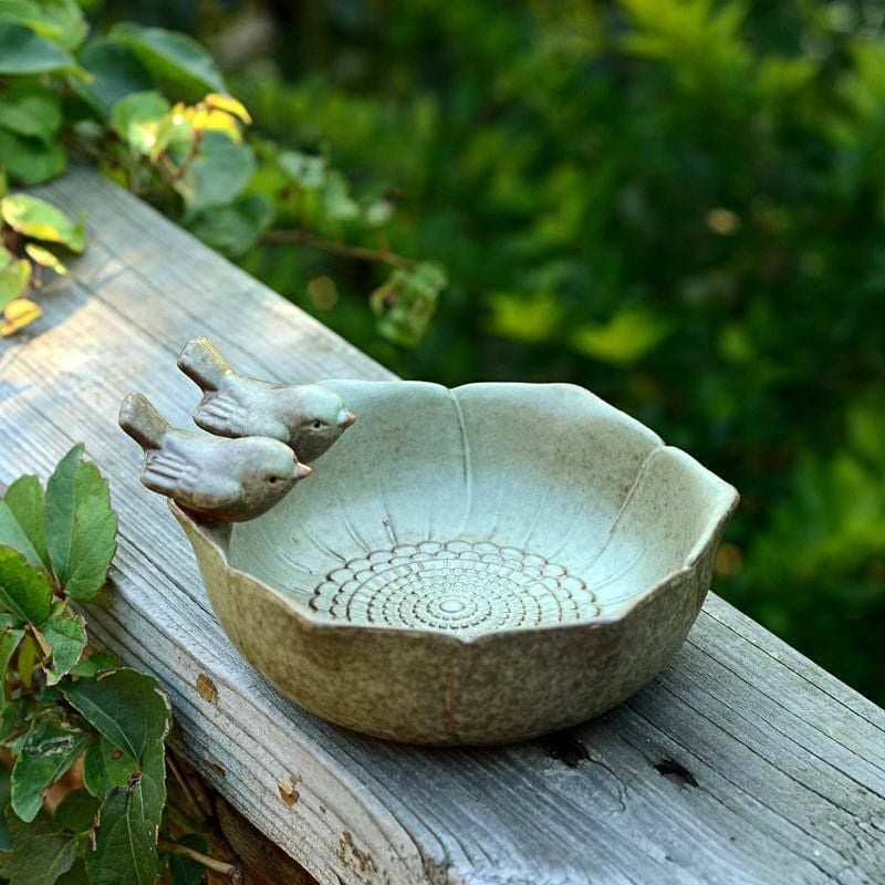  Chậu Thủy Sinh Đôi Chim Nhỏ 