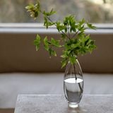  Bình Thủy Tinh Nắp Bần Phong Cách Bắc Âu 