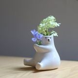  Bình Hoa Gấu Bắc Cực 