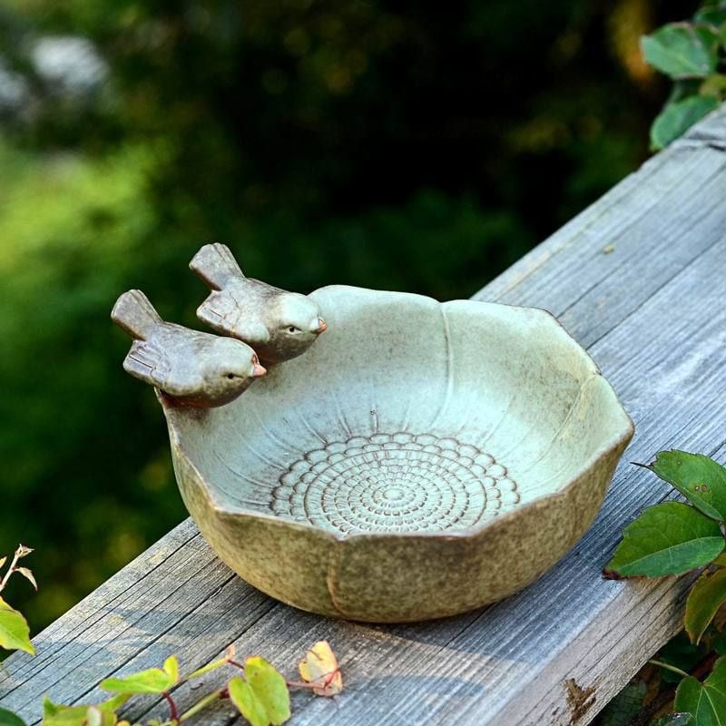  Chậu Thủy Sinh Đôi Chim Nhỏ 