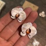  Cài Áo Lan Hồ Điệp 