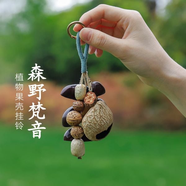  Dây Treo Vỏ Trái Cây Thiên Nhiên 