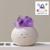  Đá Thô Thạch Anh Tím Hình Hạt Đậu 