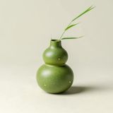  Bình Hồ Lô Lục Diệp Điểm Kim 