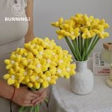 Cành Hoa Vải Candy 