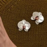  Cài Áo Lan Hồ Điệp 